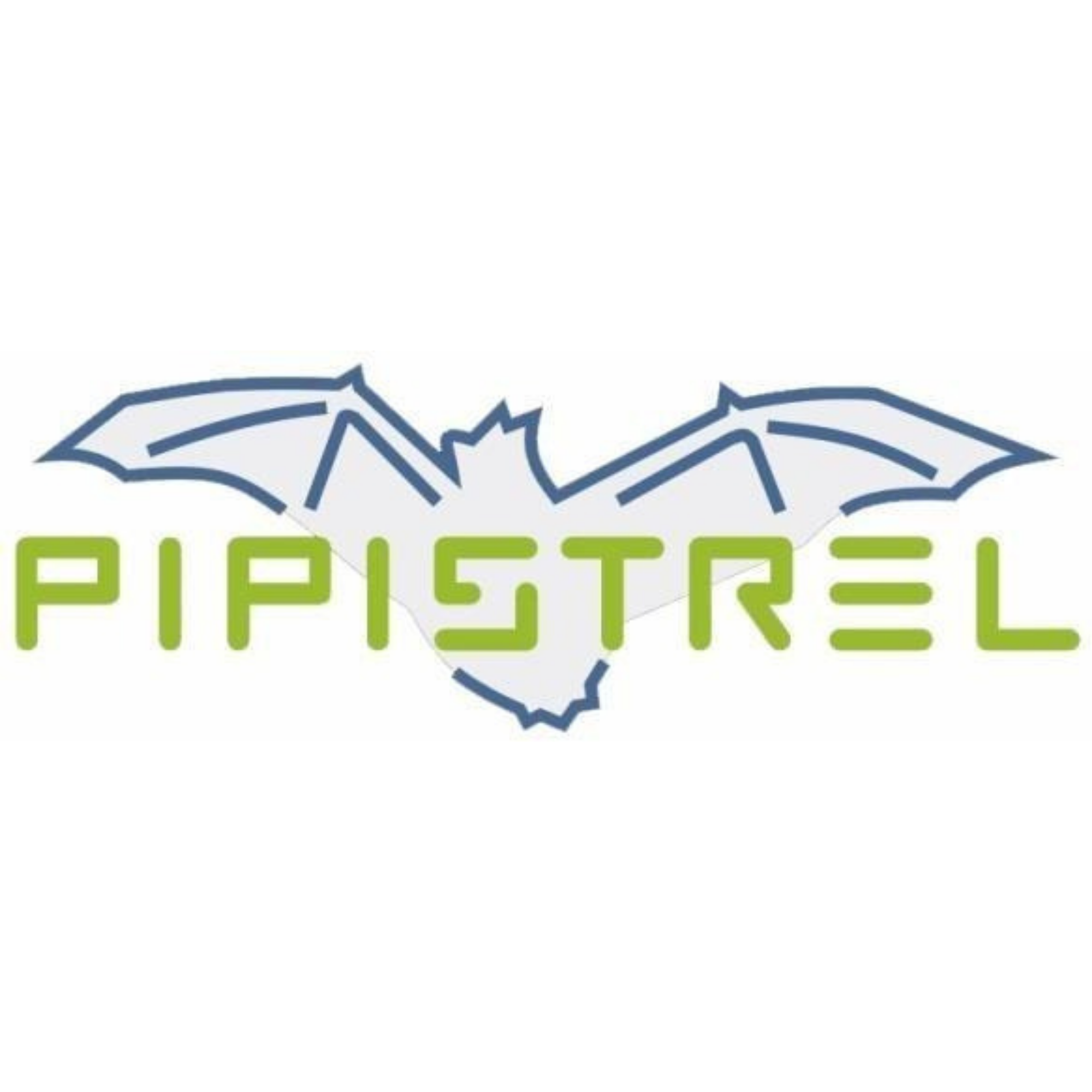 Pipistrel
