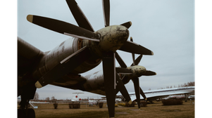 Untitled design (61)